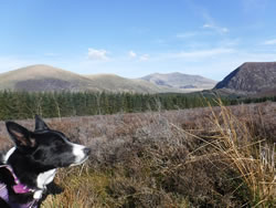 RAW Adventures - Snowdonia Slate Trail