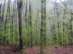 RAW Adventures - Snowdonia Slate Trail