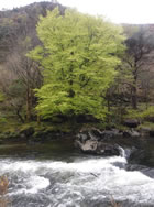 RAW Adventures - Snowdonia Slate Trail