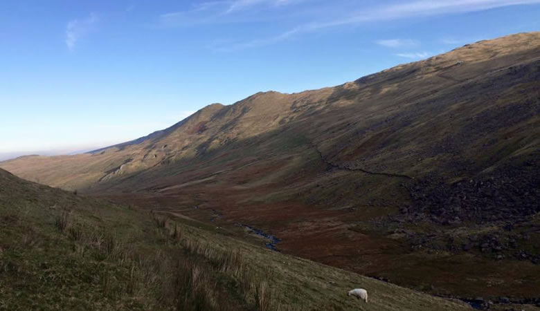 RAW Adventures - Cwm Brwynog