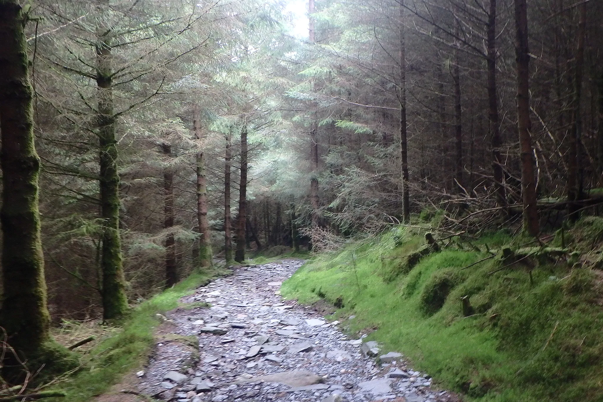 RAW Adventures - MTB Guide to Yr Wyddfa